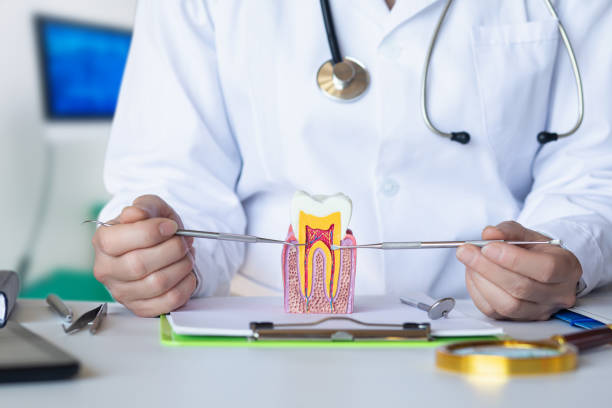 Best Dentist for Tooth Abscess  in Baileyton, AL